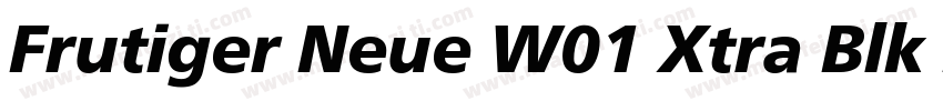 Frutiger Neue W01 Xtra Blk It字体转换